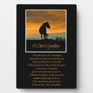 Horse Tribute Memorial Mooi gedicht Fotoplaat