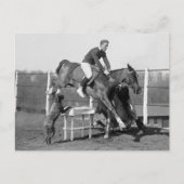 Horse Tricks, 1929 Briefkaart (Voorkant)