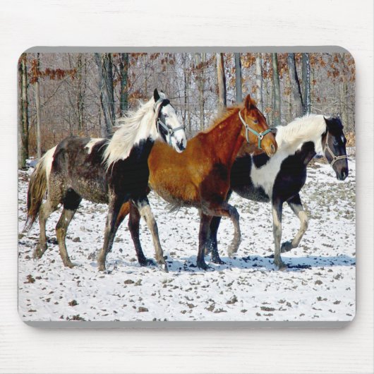 Horse Trio Mousepad Muismat (Voorkant)