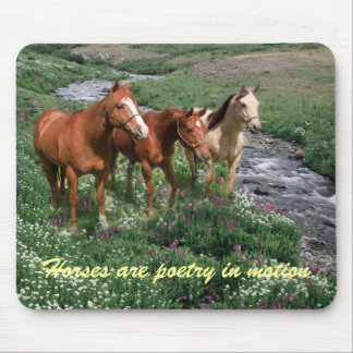 Horse Trio Mousepad Muismat