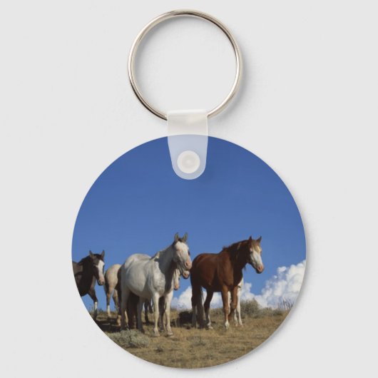 Horse Trio Sleutelhanger (Voorkant)
