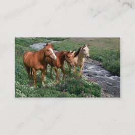 Horse Trio-Visitekaartje Visitekaartje