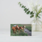 Horse Trio-Visitekaartje Visitekaartje (Staand voorkant)