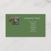 Horse Trio-Visitekaartje Visitekaartje (Achterkant)