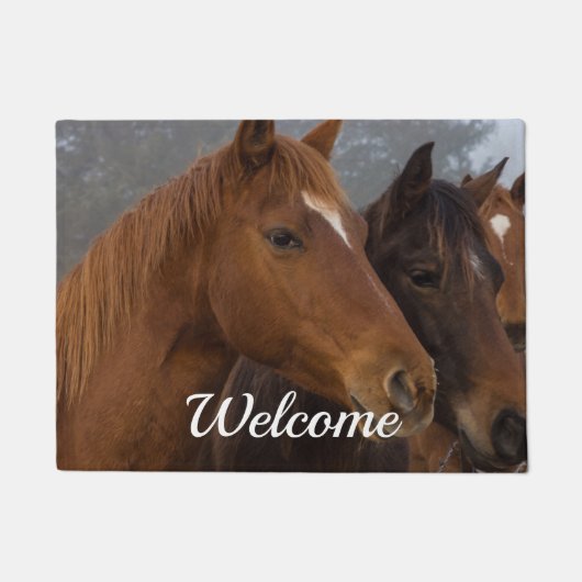 Horse Triplets Welkom Doormat Deurmat (Voorkant)