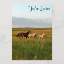 Horse Twins Mare and Foals Horse Babies Invitation