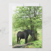 HORSE-uitnodiging (Voorkant)