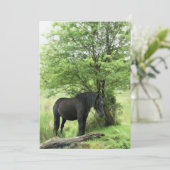 HORSE-uitnodiging (Staand voorkant)