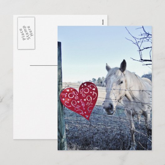 HORSE Valentijn hart Feestdagenkaart (Voorkant / Achterkant)