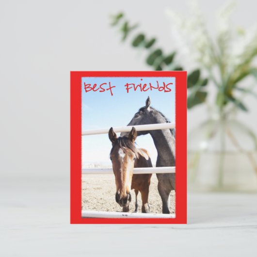 Horse Valentin IV Briefkaart (Staand voorkant)