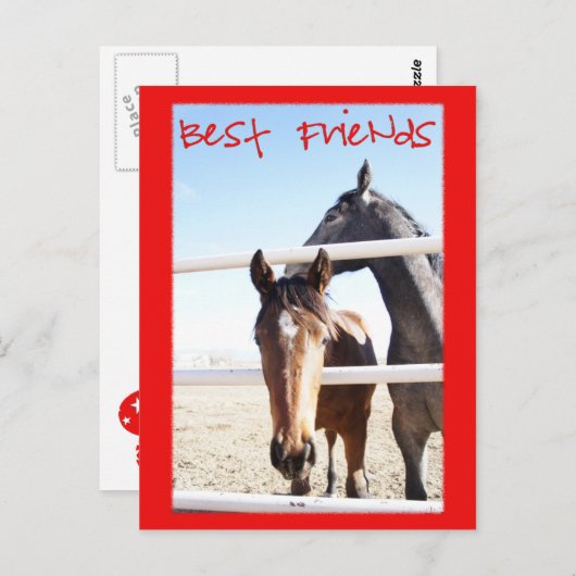 Horse Valentin IV Briefkaart (Voorkant / Achterkant)