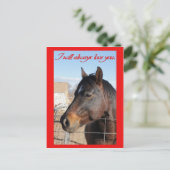 Horse Valentine V Feestdagenkaart (Staand voorkant)