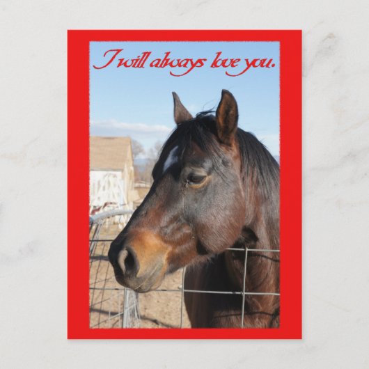 Horse Valentine V Feestdagenkaart (Voorkant)