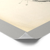 Horse Veterinary Muscle Skeleton Anatomie Print (Hoek)