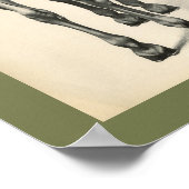 Horse Veterinary Skeletal Musea Anatomee Print (Hoek)