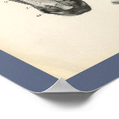 Horse Veterinary Skull Head Musea Anatomie Afdrukk Poster (Hoek)