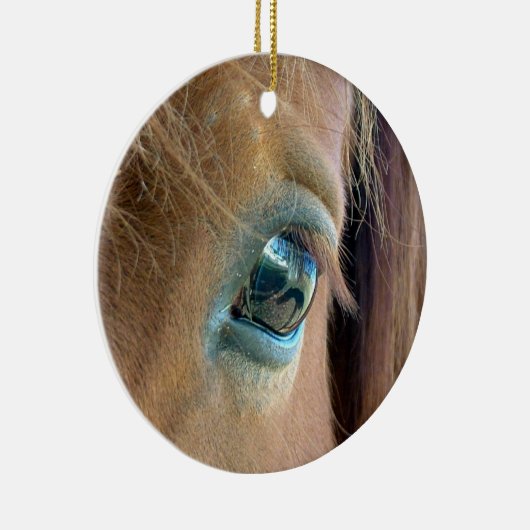 Horse Vision Ornament (Rechts)