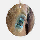 Horse Vision Ornament (Links)