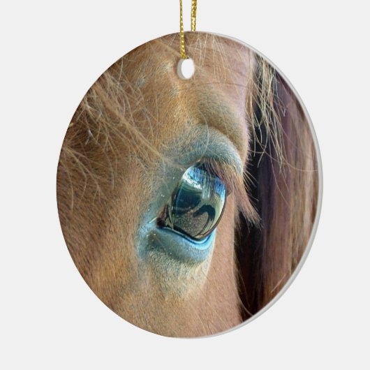 Horse Vision Ornament (Links)