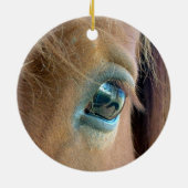 Horse Vision Ornament (Achterkant)