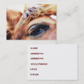 HORSE VISITEKAARTJE (Voorkant / Achterkant)