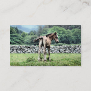 HORSE VISITEKAARTJE