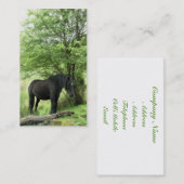HORSE VISITEKAARTJE (Voorkant / Achterkant)