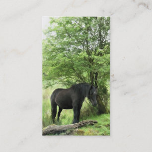 HORSE VISITEKAARTJE
