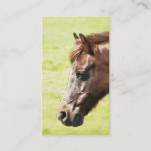 HORSE VISITEKAARTJE