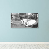 Horse Wall Art Zwart-wit Fotobommenwerper Canvas Afdruk (Insitu (Houten vloer))