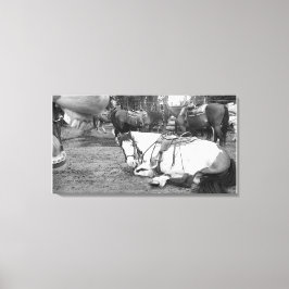 Horse Wall Art Zwart-wit Fotobommenwerper Canvas Afdruk