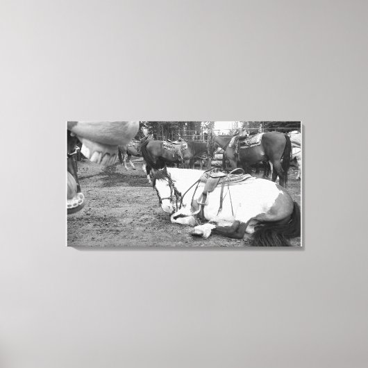 Horse Wall Art Zwart-wit Fotobommenwerper Canvas Afdruk (Voorkant)