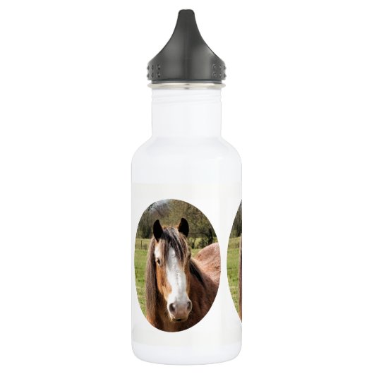 HORSE WATERFLES (Links)