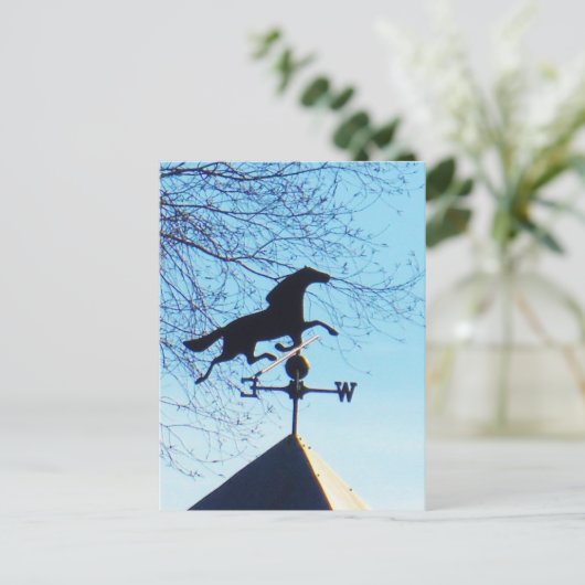 Horse Weather Vane Blue Sky Briefkaart (Staand voorkant)