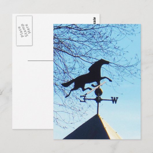 Horse Weather Vane Blue Sky Briefkaart (Voorkant / Achterkant)