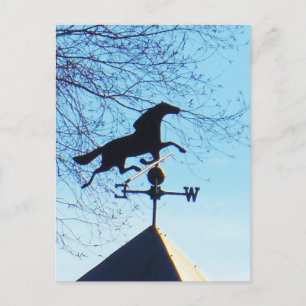 Horse Weather Vane Blue Sky Briefkaart