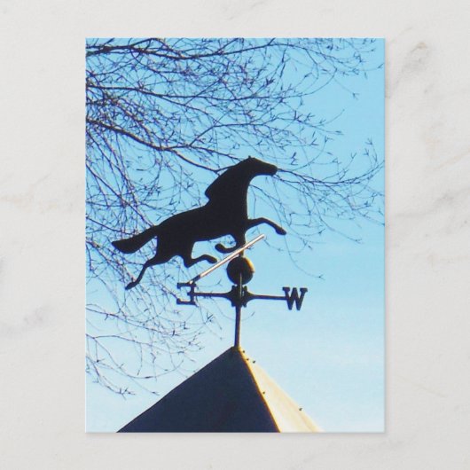 Horse Weather Vane Blue Sky Briefkaart (Voorkant)