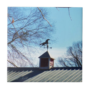 Horse Weather Vane Blue Sky Tegeltje