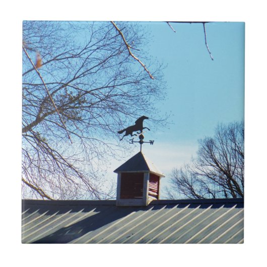 Horse Weather Vane Blue Sky Tegeltje (Voorkant)