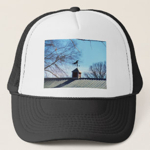 Horse Weather Vane Blue Sky Trucker Pet
