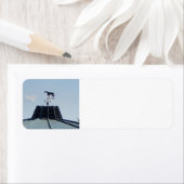 Horse Weather Vane Lexington Kentucky Etiket (Insitu)