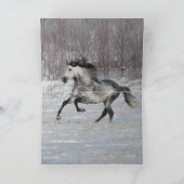 Horse Wenskaart - Dappled Grey Sneeuwhengst Kaart (Binnen)