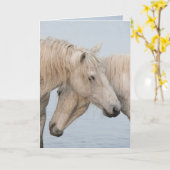 Horse Wenskaart - De kracht van twee Kaart (Gele Bloem)