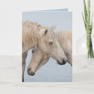 Horse Wenskaart - De kracht van twee Kaart