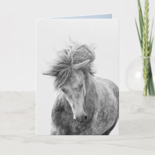 Horse Wenskaart - Jonge Camargue Hengstenrennen Kaart