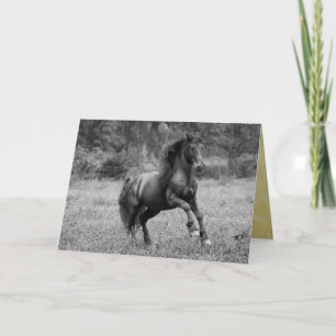 Horse Wenskaart - Sprookjeshengst sprongen Kaart