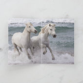 Horse Wenskaart - Zee Horse Twins Kaart (Binnen)