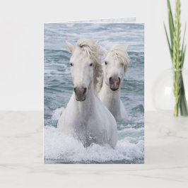 Horse Wenskaart - Zee Horse Twins Kaart
