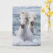 Horse Wenskaart - Zee Horse Twins Kaart (Gele Bloem)