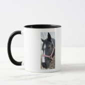 Horse Whisperer Mok (Links)